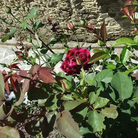 Szálloda Molino Catasol *