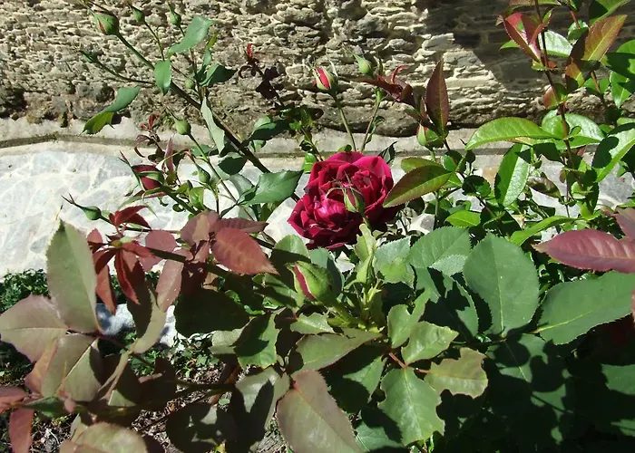 Ξενοδοχείο Molino Catasol *